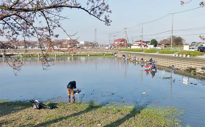 今週のヘラブナ推薦釣り場【埼玉県・伊佐沼】