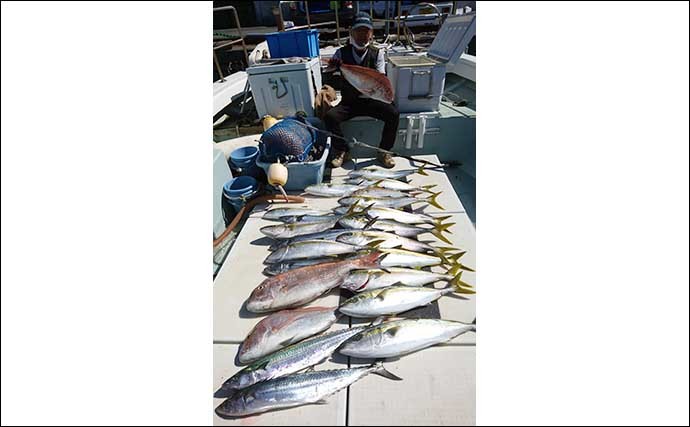 落とし込み釣り最新釣果　エサ付き良好でヒラマサ筆頭に良型青物乱舞