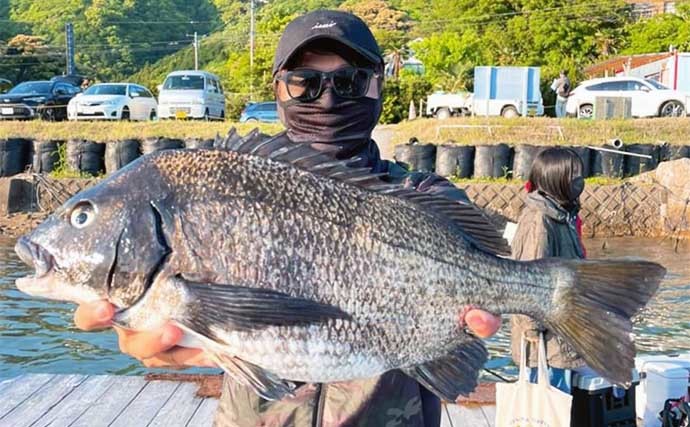 【三重】カカリ釣り・海上釣り堀最新釣果 54cm頭に大型クロダイ続々