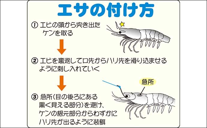 【2022年】東京湾の船マゴチ釣りが面白い　エサ・ルアーそれぞれに解説