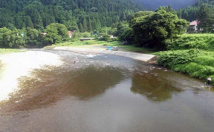 【2022年】おすすめアユ友釣り場：山形・小国川　味・香り・容姿全て良し