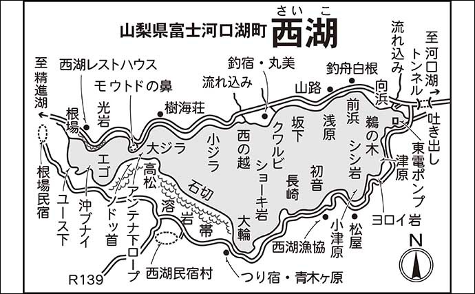 今週のヘラブナ推薦釣り場【山梨県・西湖】