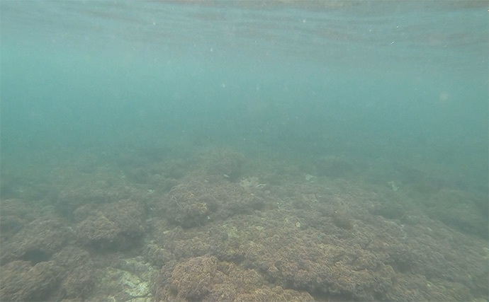 釣り場で潜水してみた　肌で感じた『海水温』と『潮流』のギャップとは？