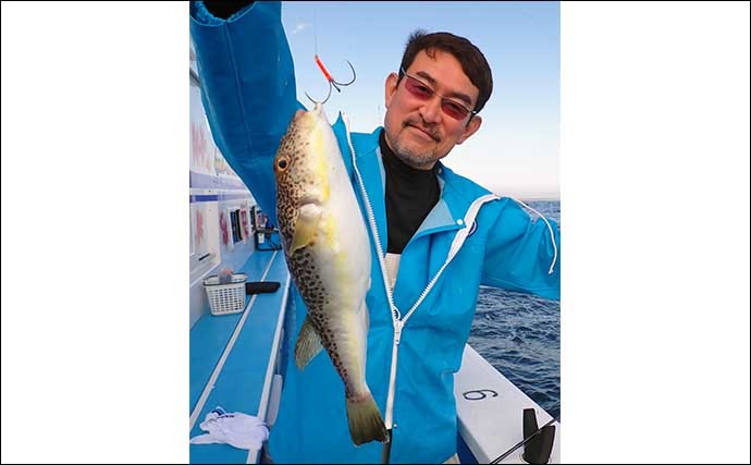 鹿島沖ショウサイフグ釣りで良型続々　好ゲストにトラフグも顔出し