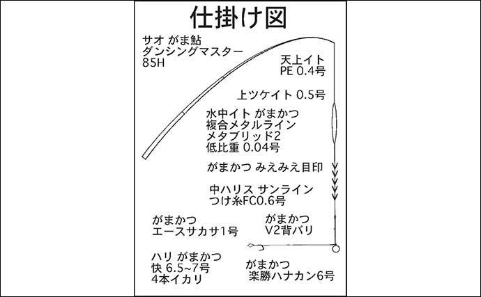 長良川郡上白鳥エリアでアユトモ釣り満喫　20cm級が入れ掛かり