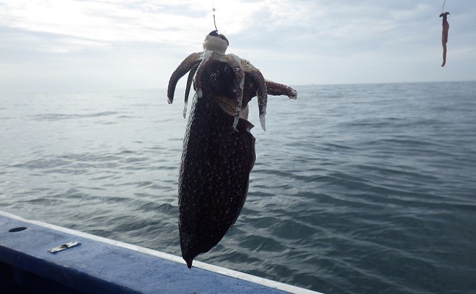 外房の船キス釣りで22cm頭に106匹　型もジャンボ中心で大満足