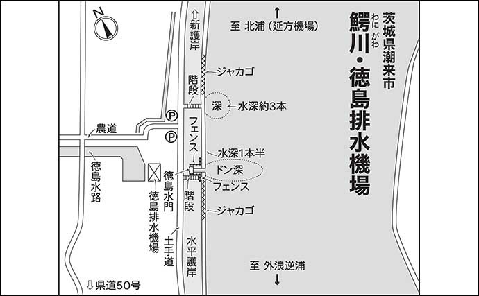 今週のヘラブナ推薦釣り場【茨城県・鰐川】