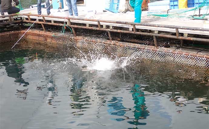 海上つり堀でシマアジに大ダイ　ウキ釣りとミャク釣り使い分けで攻略