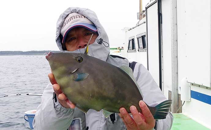 相模湾タイ五目釣りで多彩魚種　マダイ他クロダイにメジナにイシダイ