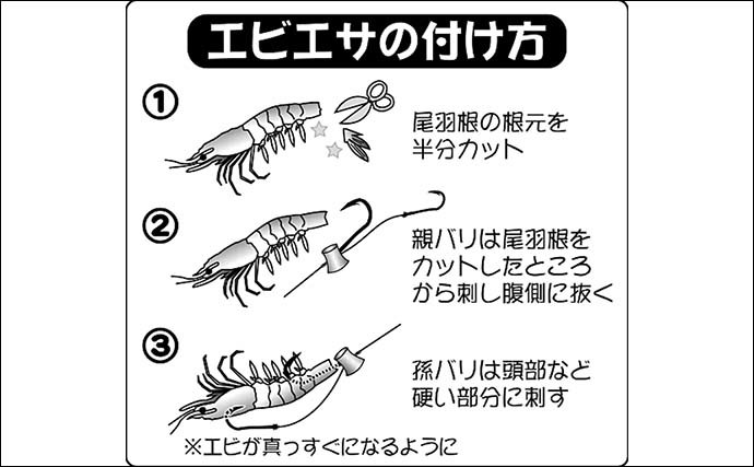 【2022年】テンヤマダイ釣り入門　タックル・エサ付け・釣り方を解説