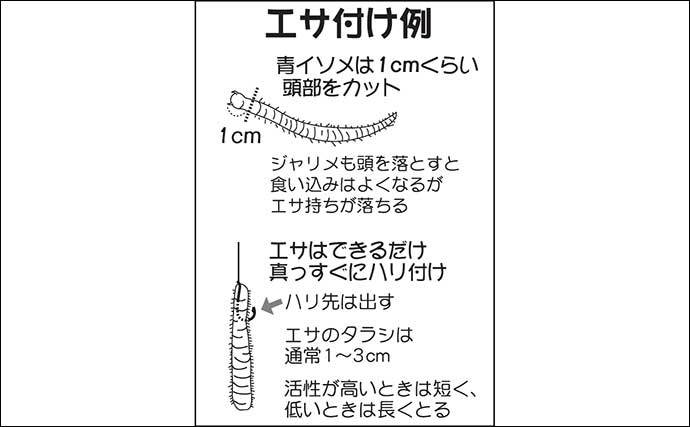 【東京湾2021】船キス釣りの基本　初心者～上級者まで楽しめ釣果安定