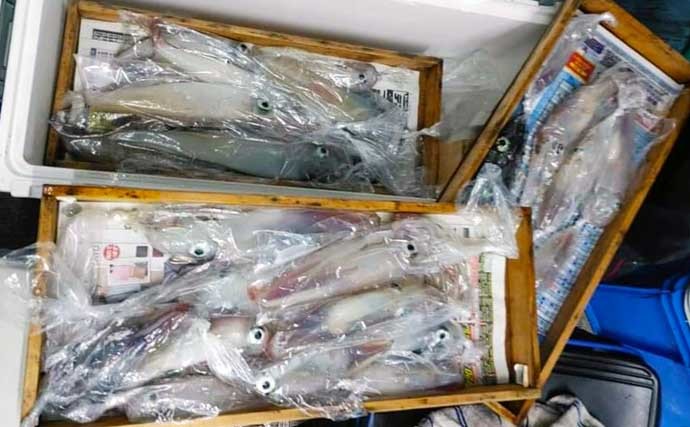 【玄界灘】夜焚きイカ釣り最新釣果　好調継続で釣る人3ケタも