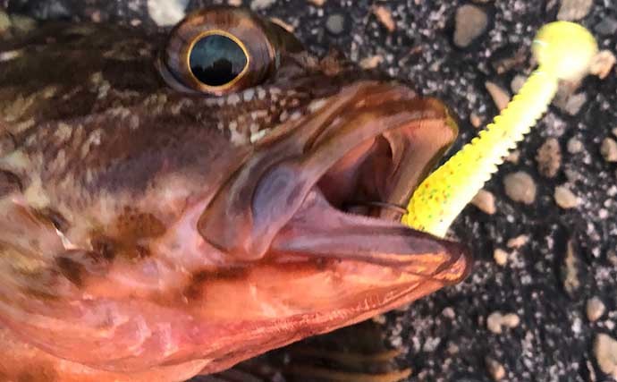 陸っぱりルアーフィッシング超入門　釣りの「ラインシステム」ってなに？