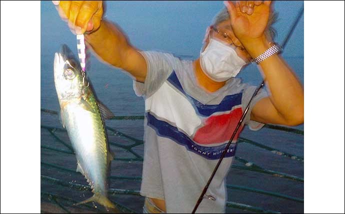 横須賀海辺釣り公園で夏の魚賑やか　タチウオ不発も満喫【神奈川】