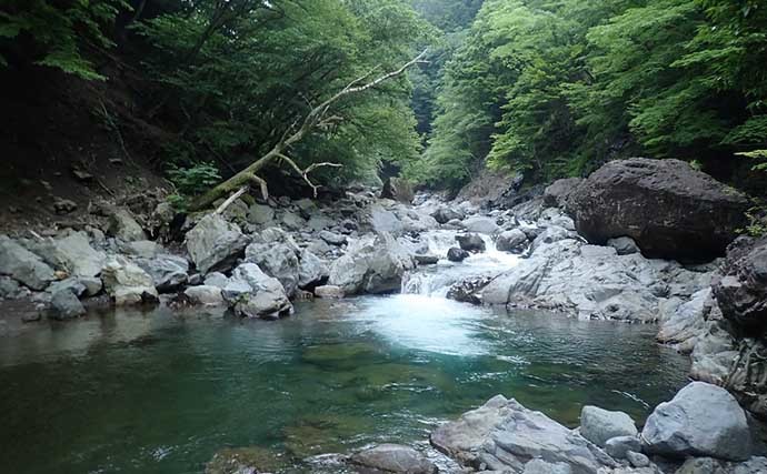 十津川での渓流ルアー釣りで24cm頭にアマゴ22匹　尺級は無念のバラし