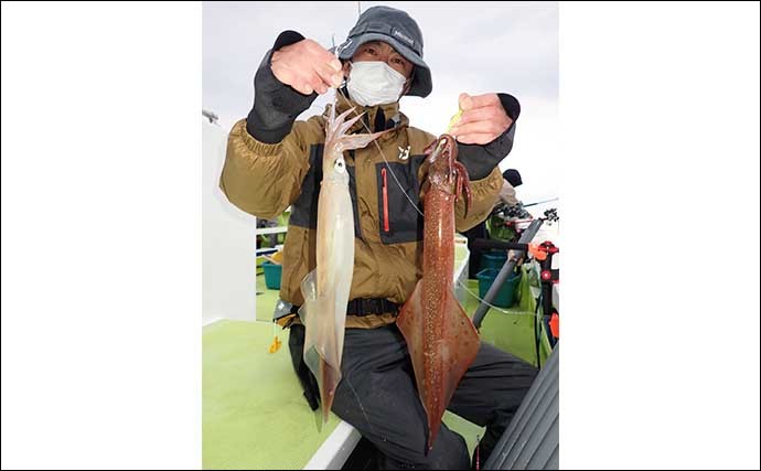 常磐の船ヤリイカ釣りでトップ40尾　群れを追ってこまめな移動で数伸ばす