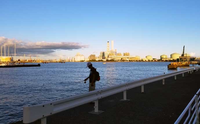 孫連れて岸壁サビキ釣りで夕涼み　25cm頭にサバ12尾の釣果に満足