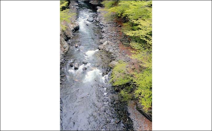 【2022年】おすすめアユ友釣り場：山梨・丹波川　水質よくアユが美味