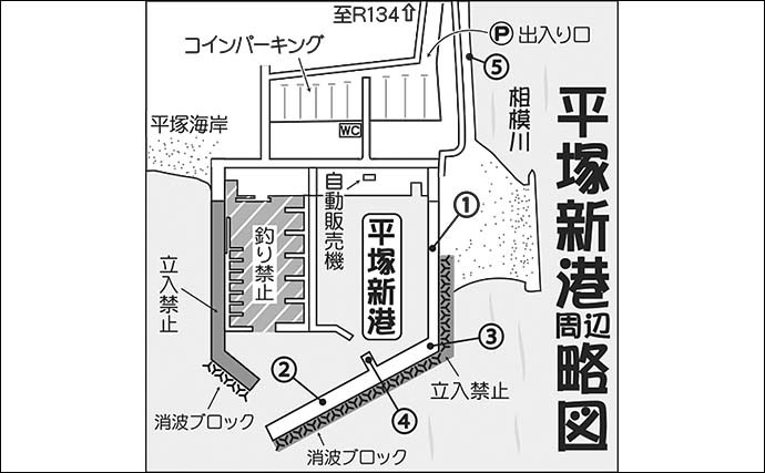 堤防ファミリーフィッシングで魚種多彩　100均ジグでワカシも手中