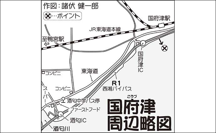 サーフでの投げキス釣りで20cm超え好捕　「夜光玉」が決め手？