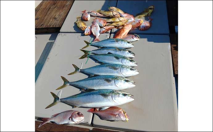 今週の『船釣り情報』特選釣果　タイラバでマダイにアマダイに青物も