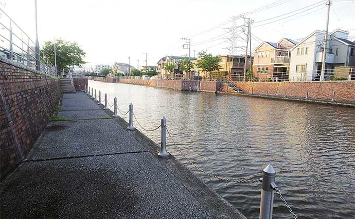 テナガエビ釣りで36尾キャッチ　ランガン各所でシーズン開幕を実感