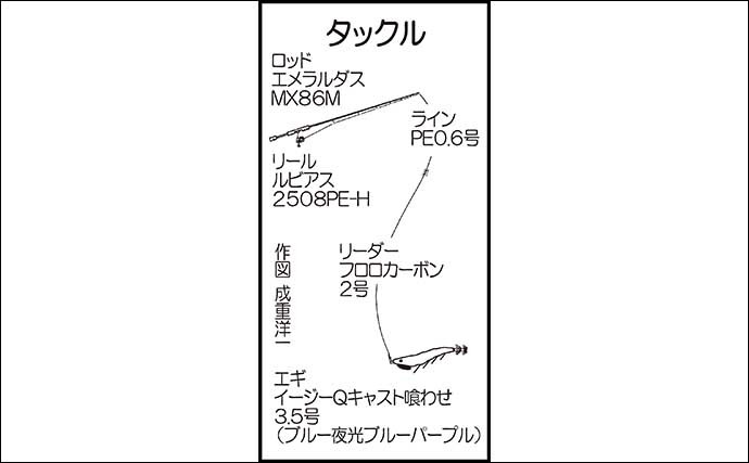 大分国東エリアの陸っぱりエギングで1.6kg頭にアオリイカ9尾