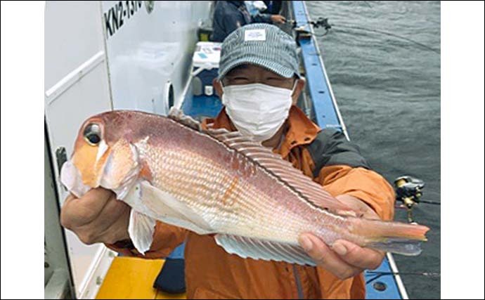 相模湾で「船アマダイ」釣りが開幕　天秤仕掛けでの釣り方キホンを解説