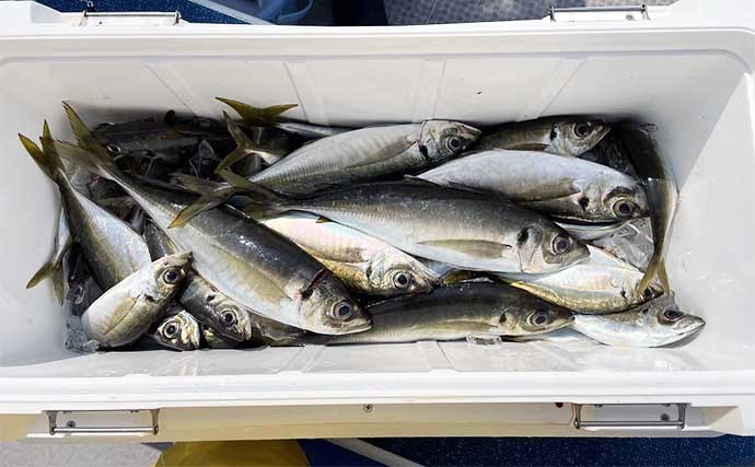 【三重・愛知】沖のエサ釣り最新釣果　カサゴ船で良型主体に数釣り達成