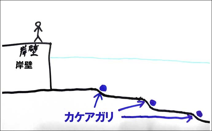 【2022年】投げカレイ釣り入門　ステップアップのポイント6選