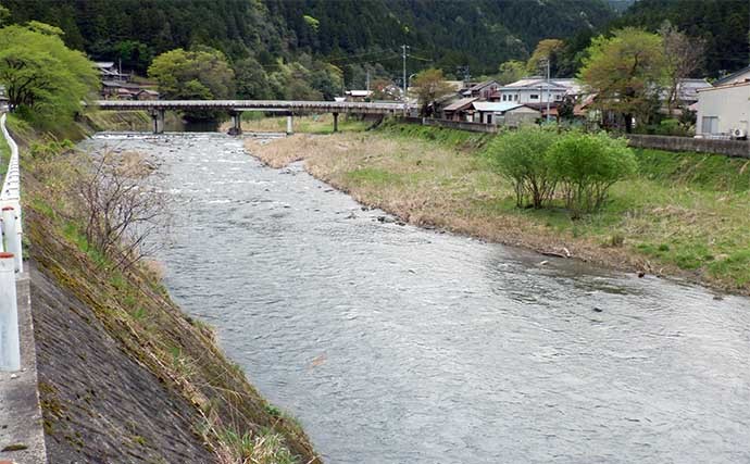 【2022年】おすすめアユ友釣り場：岐阜・根尾川漁協管内　２段階で解禁