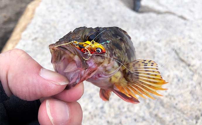 夏の海の陸っぱりルアー釣りおすすめ対象魚5選　水温高過ぎはNG？