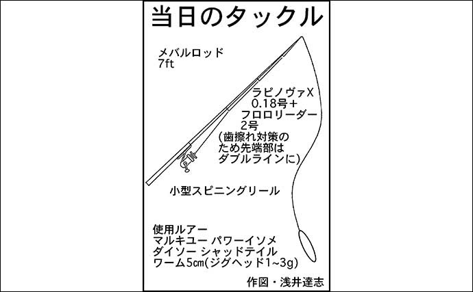 アジングゲームで35cm頭にカマス爆釣　気づけばカマスゲームに夢中