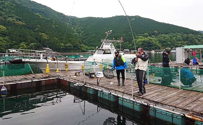 海上釣り堀でマダイ11匹にヒラマサ＆カンパチ　青物連続バラしに苦戦