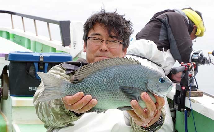 相模湾タイ五目釣りで多彩魚種　マダイ他クロダイにメジナにイシダイ