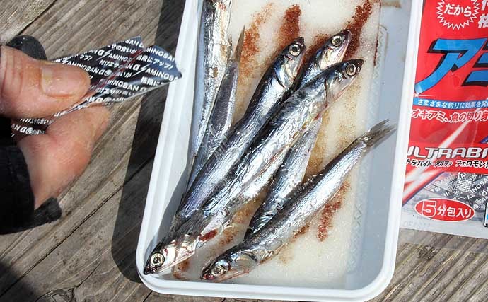 海上釣り堀攻略　【仕掛け・エサ・釣り方をターゲット魚種ごとに解説】