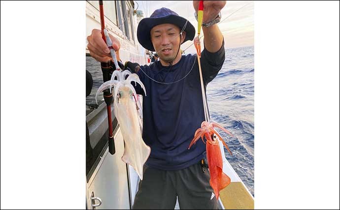 【玄界灘】夜焚きイカ最新釣果　日ムラはあるもヤリイカ釣果上伸中