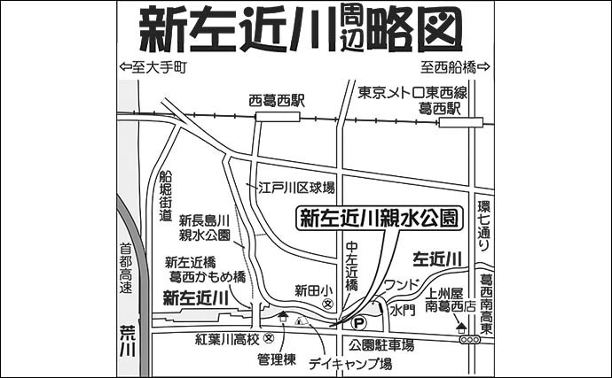 都内の公園でテナガエビ釣り　夕方に活性上がり17尾【新左近川親水公園】