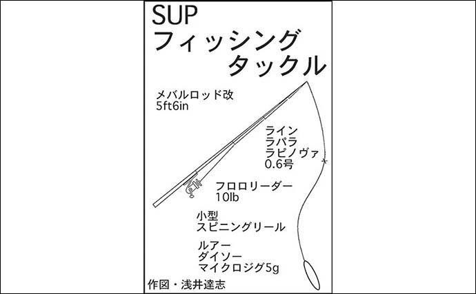 100均ジグ縛りSUPフィッシング堪能　オオモンハタなど五目達成【三重】