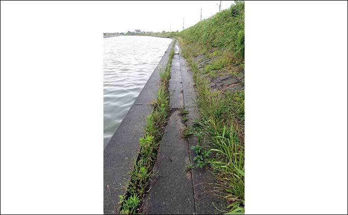 今週のヘラブナ推薦釣り場2022【茨城県・横利根川】