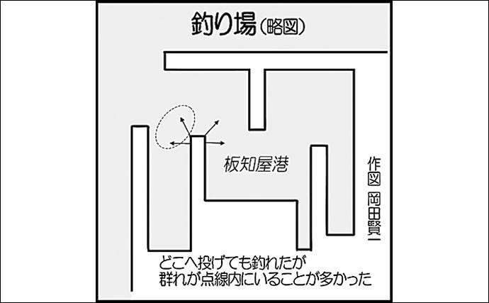 波止カマスゲームで33cm頭に26尾　実績のグリキンカラーで連発