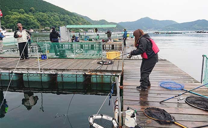 海上釣り堀でマダイ11匹にヒラマサ＆カンパチ　青物連続バラしに苦戦