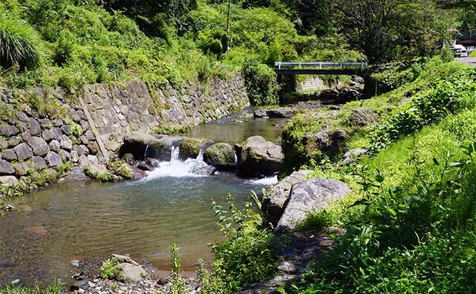 【2022年】渓流ルアー釣り入門　ルアー・操作法・ポイント選び方を解説