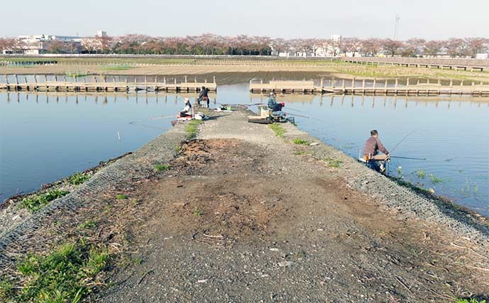 今週のヘラブナ推薦釣り場【埼玉県・伊佐沼】