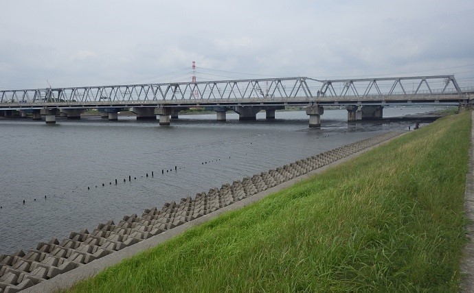 盛期迎える東京湾奥「潮干狩り」で激レア『オオノガイ』【江戸川放水路】