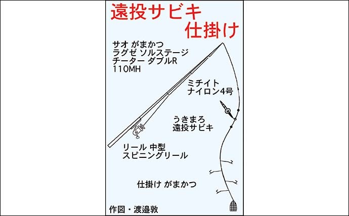 波止の投げサビキ釣りでアジが入れ食い　ライトゲームではカマスも登場