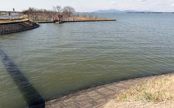 今週のヘラブナ推薦釣り場【茨城県・清明川】