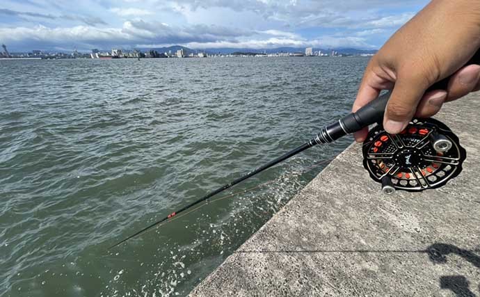 クロダイ『堤防ヘチ釣り』の魅力4選　究極の接近戦は気配消せるかがキモ