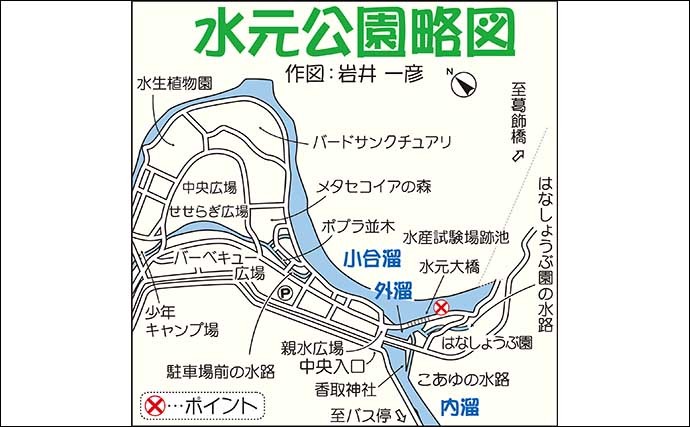 夕マヅメのテナガエビ釣りでメス主体に12尾手中【東京・都立水元公園】