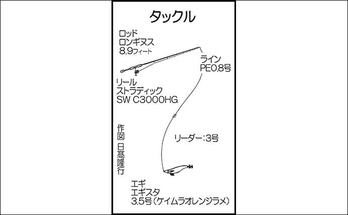 堤防ナイトエギングゲームでキロ級含め良型アオリイカ2匹【熊本・天草】